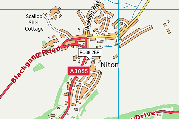 Niton Primary School map (PO38 2BP) - OS VectorMap District (Ordnance Survey)