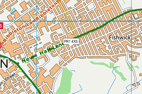 PR1 4XS map - OS VectorMap District (Ordnance Survey)