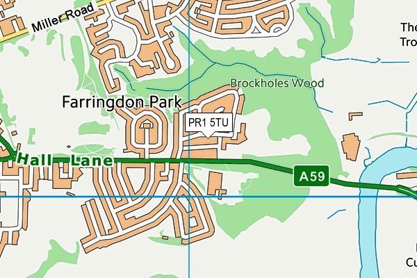 Brockholes Wood Community Primary School and Nursery map (PR1 5TU) - OS VectorMap District (Ordnance Survey)