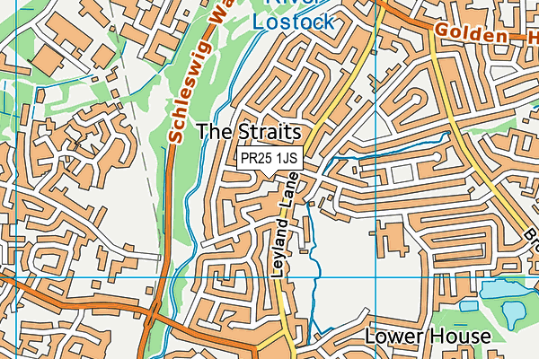 PR25 1JS map - OS VectorMap District (Ordnance Survey)