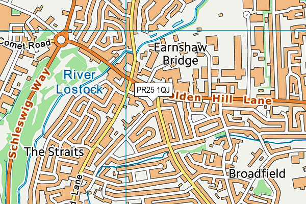 PR25 1QJ map - OS VectorMap District (Ordnance Survey)