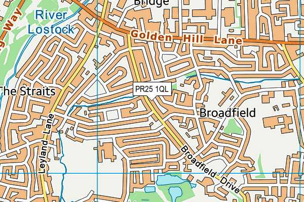 PR25 1QL map - OS VectorMap District (Ordnance Survey)