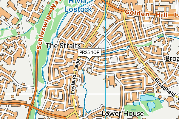 PR25 1QP map - OS VectorMap District (Ordnance Survey)