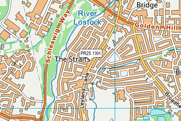 PR25 1XH map - OS VectorMap District (Ordnance Survey)