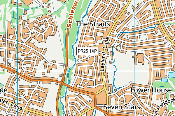 PR25 1XP map - OS VectorMap District (Ordnance Survey)