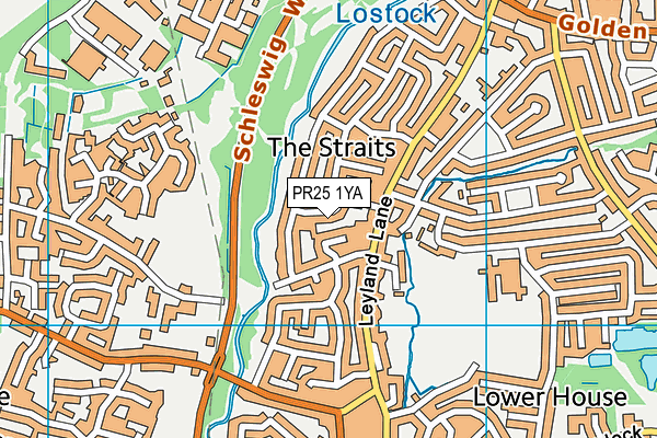 PR25 1YA map - OS VectorMap District (Ordnance Survey)