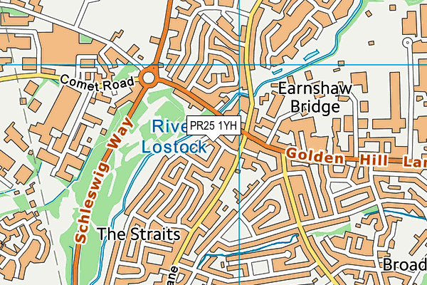 PR25 1YH map - OS VectorMap District (Ordnance Survey)