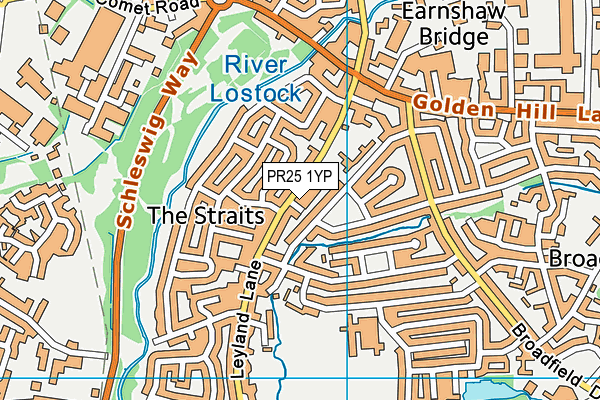 PR25 1YP map - OS VectorMap District (Ordnance Survey)