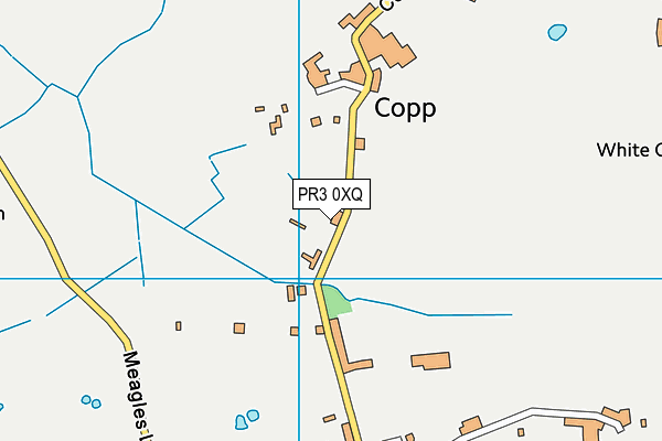 PR3 0XQ map - OS VectorMap District (Ordnance Survey)