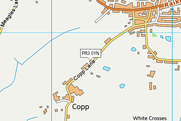 PR3 0YN map - OS VectorMap District (Ordnance Survey)