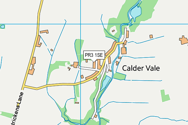 PR3 1SE map - OS VectorMap District (Ordnance Survey)