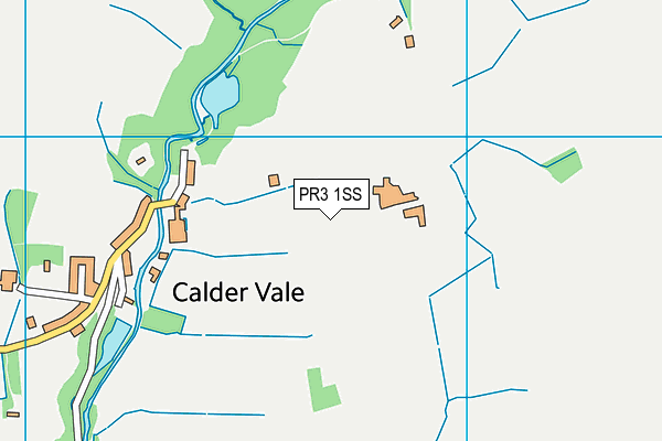 PR3 1SS map - OS VectorMap District (Ordnance Survey)