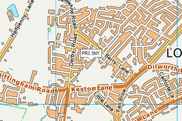 PR3 3NY map - OS VectorMap District (Ordnance Survey)