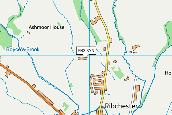 PR3 3YN map - OS VectorMap District (Ordnance Survey)