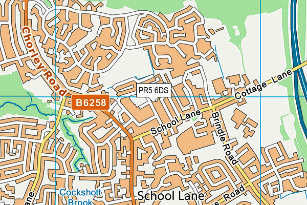 PR5 6DS map - OS VectorMap District (Ordnance Survey)