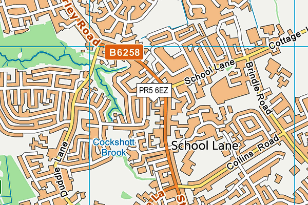 PR5 6EZ map - OS VectorMap District (Ordnance Survey)