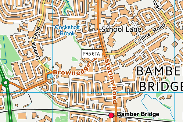 St Mary's and St Benedict's Roman Catholic Primary School map (PR5 6TA) - OS VectorMap District (Ordnance Survey)