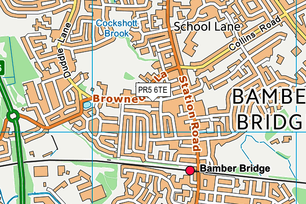 PR5 6TE map - OS VectorMap District (Ordnance Survey)