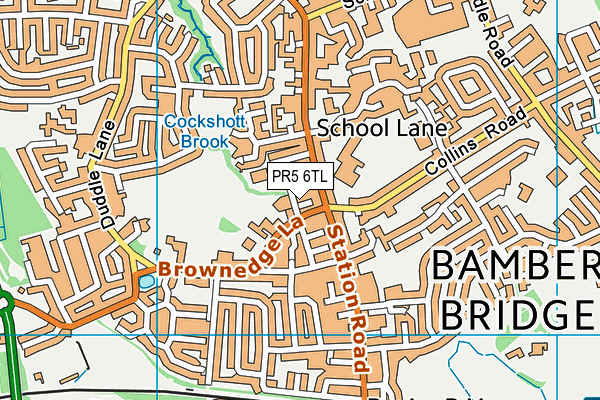 PR5 6TL map - OS VectorMap District (Ordnance Survey)