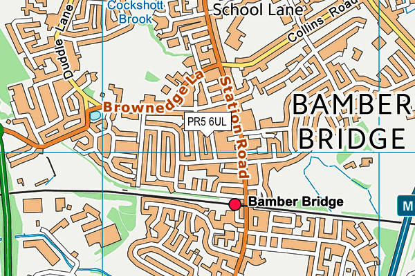 PR5 6UL map - OS VectorMap District (Ordnance Survey)