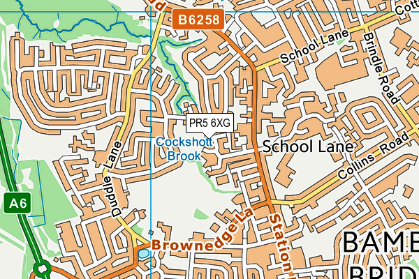 PR5 6XG map - OS VectorMap District (Ordnance Survey)