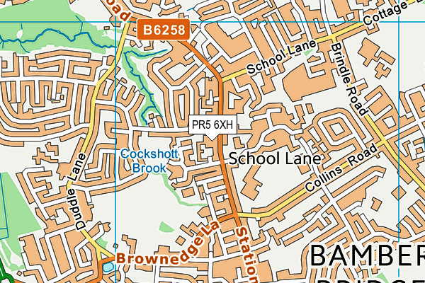 PR5 6XH map - OS VectorMap District (Ordnance Survey)
