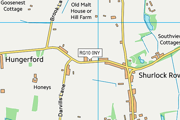 RG10 0NY map - OS VectorMap District (Ordnance Survey)