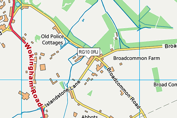 RG10 0RJ map - OS VectorMap District (Ordnance Survey)