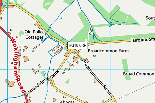 RG10 0RP map - OS VectorMap District (Ordnance Survey)