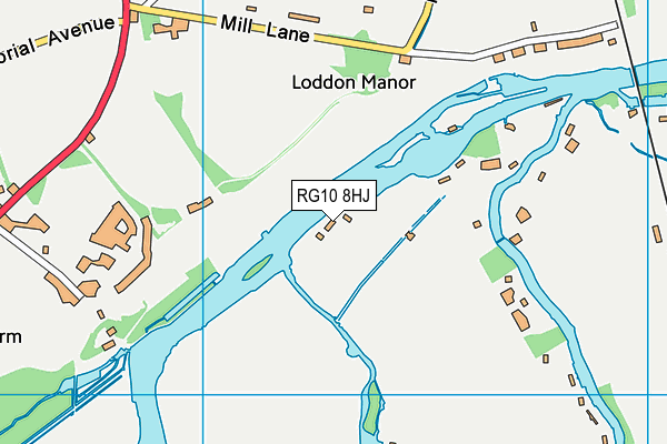 RG10 8HJ map - OS VectorMap District (Ordnance Survey)