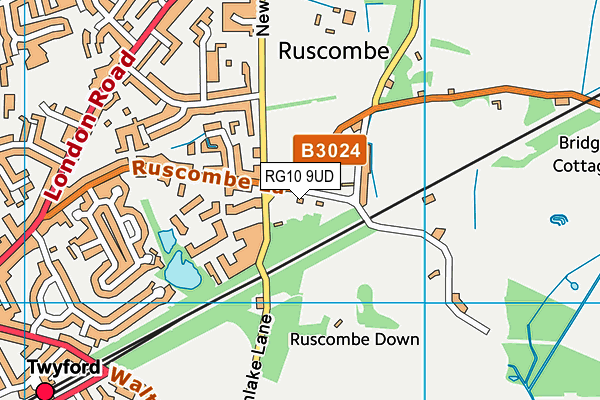 RG10 9UD map - OS VectorMap District (Ordnance Survey)