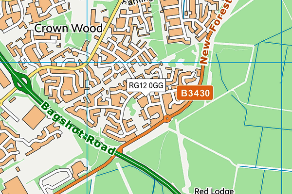 RG12 0GG map - OS VectorMap District (Ordnance Survey)