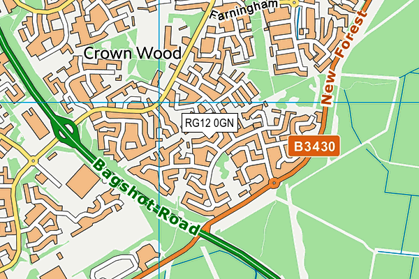 RG12 0GN map - OS VectorMap District (Ordnance Survey)