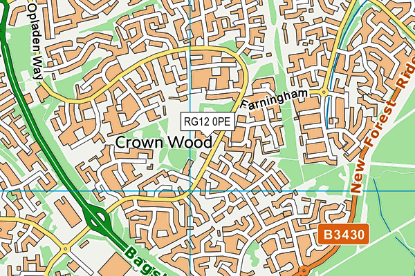 Crown Wood Primary School map (RG12 0PE) - OS VectorMap District (Ordnance Survey)