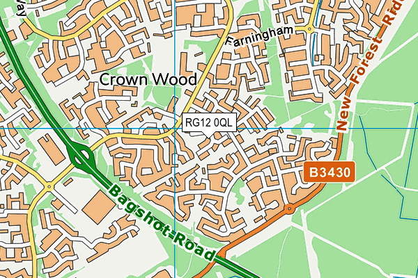 RG12 0QL map - OS VectorMap District (Ordnance Survey)
