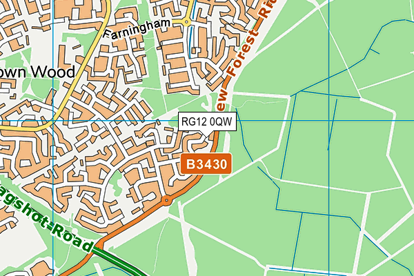 RG12 0QW map - OS VectorMap District (Ordnance Survey)