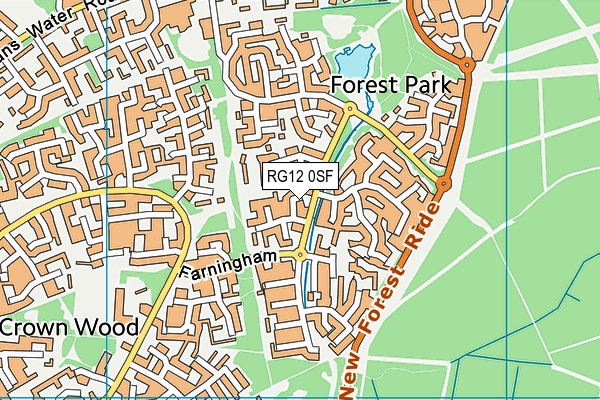 RG12 0SF map - OS VectorMap District (Ordnance Survey)