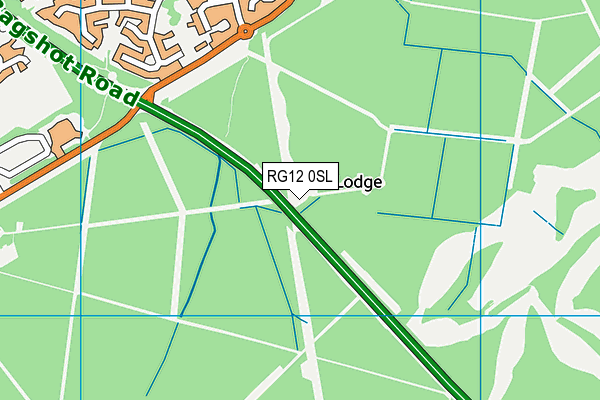 RG12 0SL map - OS VectorMap District (Ordnance Survey)