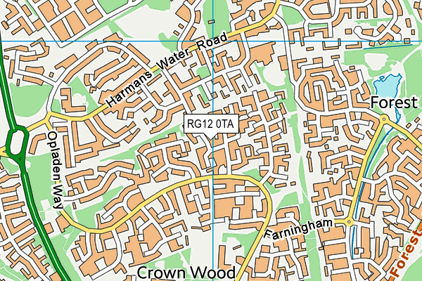 RG12 0TA map - OS VectorMap District (Ordnance Survey)