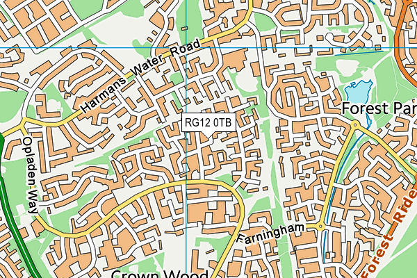 RG12 0TB map - OS VectorMap District (Ordnance Survey)