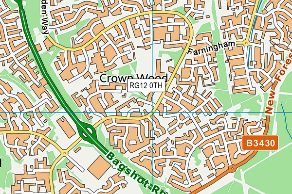 RG12 0TH map - OS VectorMap District (Ordnance Survey)