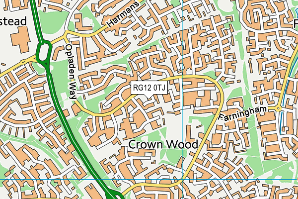 RG12 0TJ map - OS VectorMap District (Ordnance Survey)