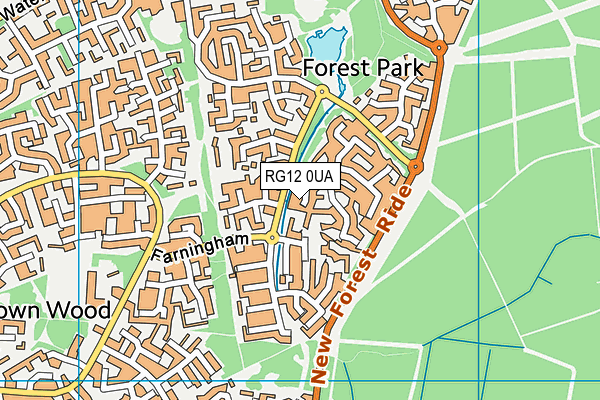 RG12 0UA map - OS VectorMap District (Ordnance Survey)