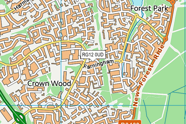 RG12 0UD map - OS VectorMap District (Ordnance Survey)