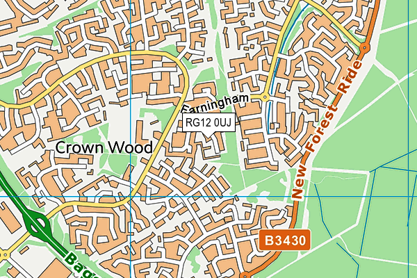 RG12 0UJ map - OS VectorMap District (Ordnance Survey)