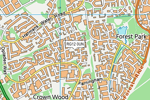 RG12 0UN map - OS VectorMap District (Ordnance Survey)