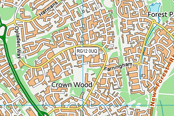 Nettlecombe map (RG12 0UQ) - OS VectorMap District (Ordnance Survey)