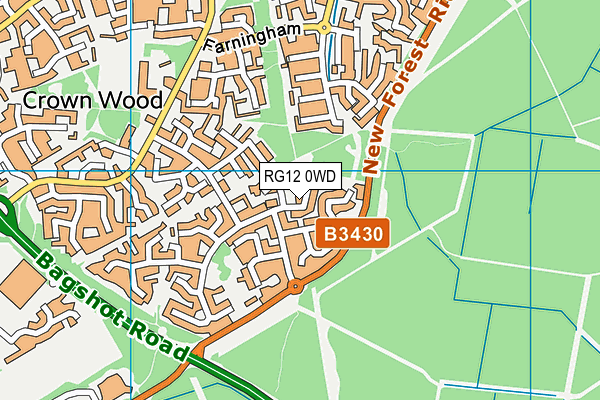 RG12 0WD map - OS VectorMap District (Ordnance Survey)