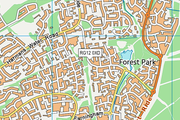 RG12 0XD map - OS VectorMap District (Ordnance Survey)