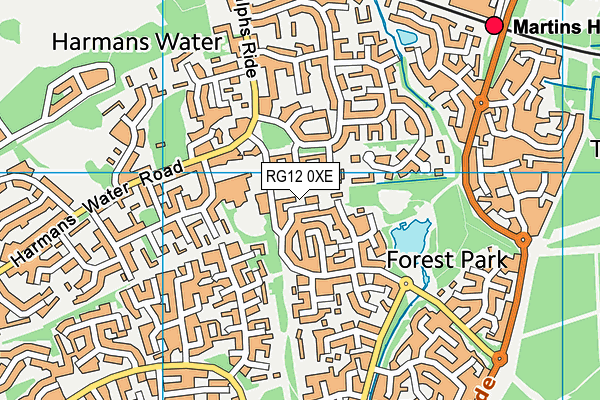 RG12 0XE map - OS VectorMap District (Ordnance Survey)